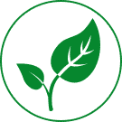 Amantes de la naturaleza