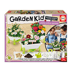GARDEN KID MI HUERTO: MARGARITA, ZINIA Y COSMOS DEL JAPÓN
