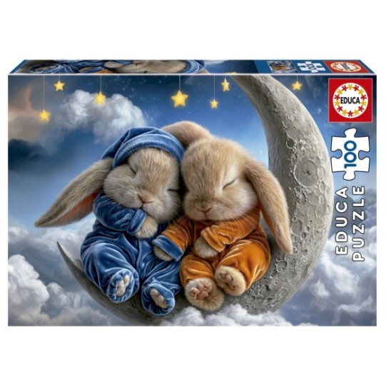 100 Bunny Dreams