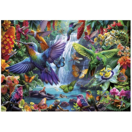 1000 Colibris Tropicaux