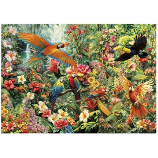    2000 Aves del Amazonas