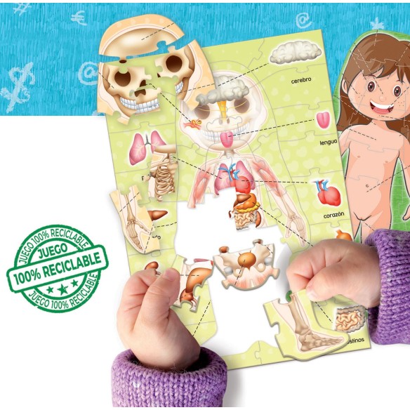    Aprender es Divertido El cuerpo humano