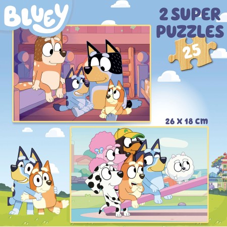 2x25 Bluey 2
