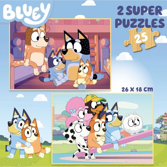    2x25 Bluey