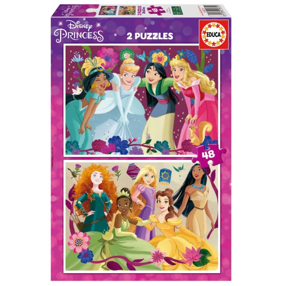 2x48 Disney Princess