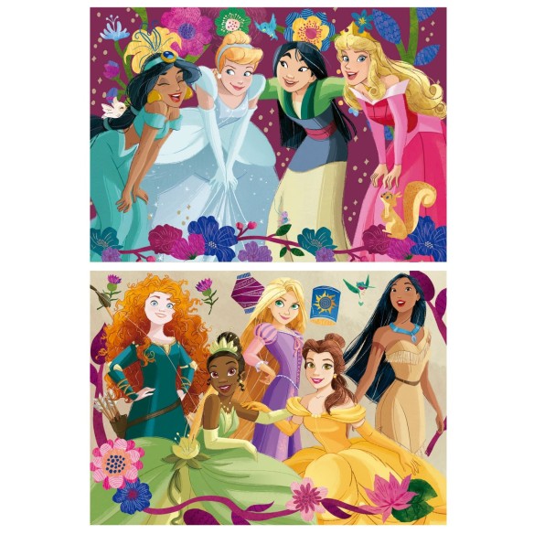    2x48 Disney Princess