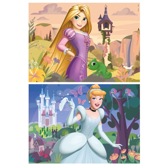    2x48 Disney Princess