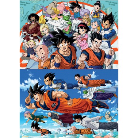 2x100 Dragon Ball 2