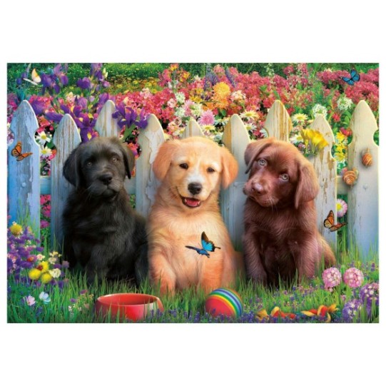    100 Perritos