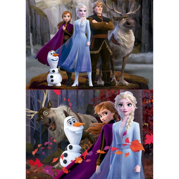 2x100 Reine Des Neiges 2