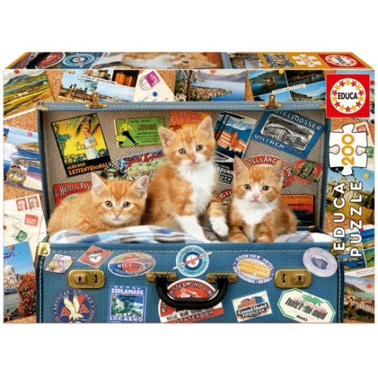 200 Petits chats voyageurs
