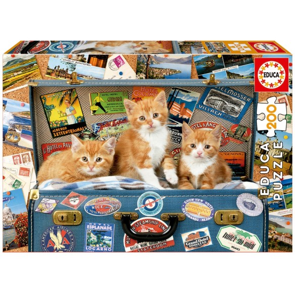 200 Petits chats voyageurs