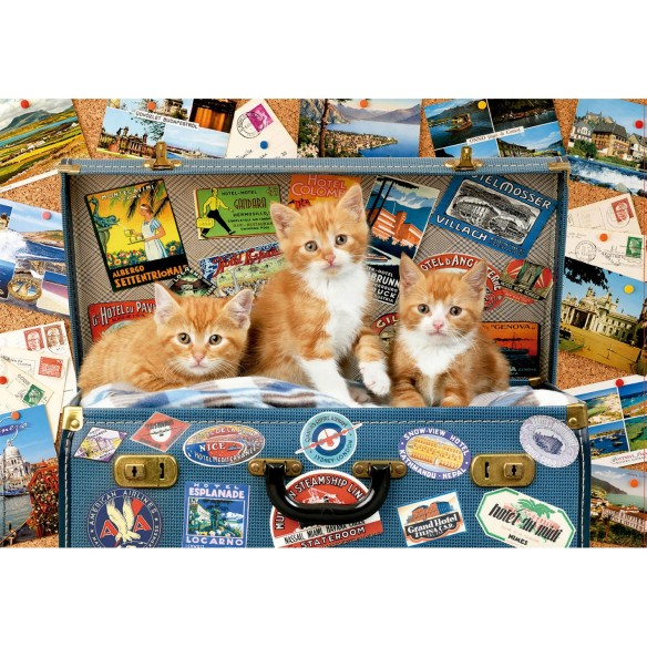    200 Gatitos viajeros
