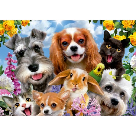 200 Selfie d´Animaux 2