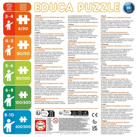    250 Stitch Poster Puzzle