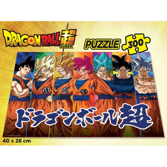   300 Dragon Ball Super