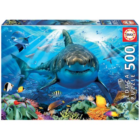 500 Great White Shark