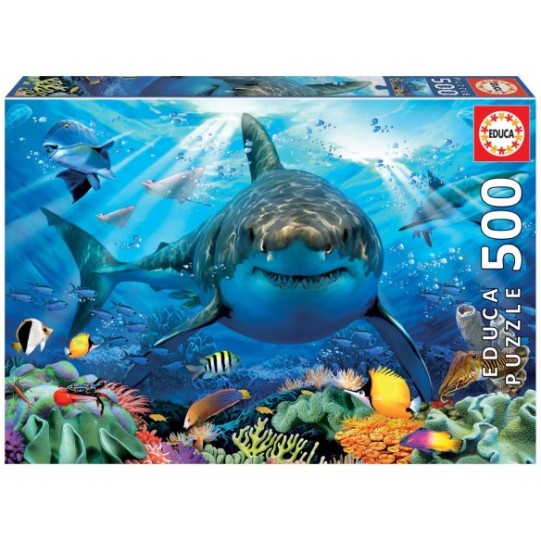 500 Great White Shark