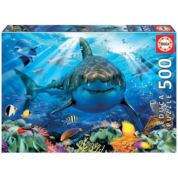 500 Great White Shark