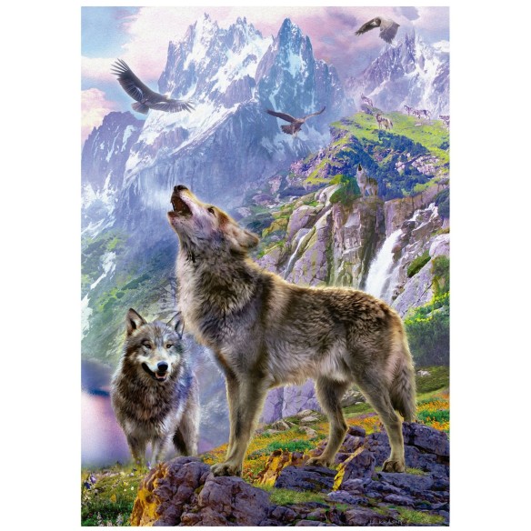    500 Lobos En Las Rocas