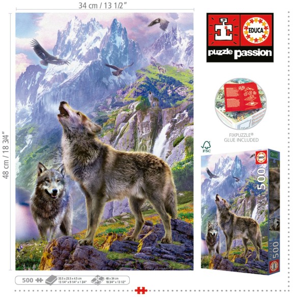    500 Lobos En Las Rocas