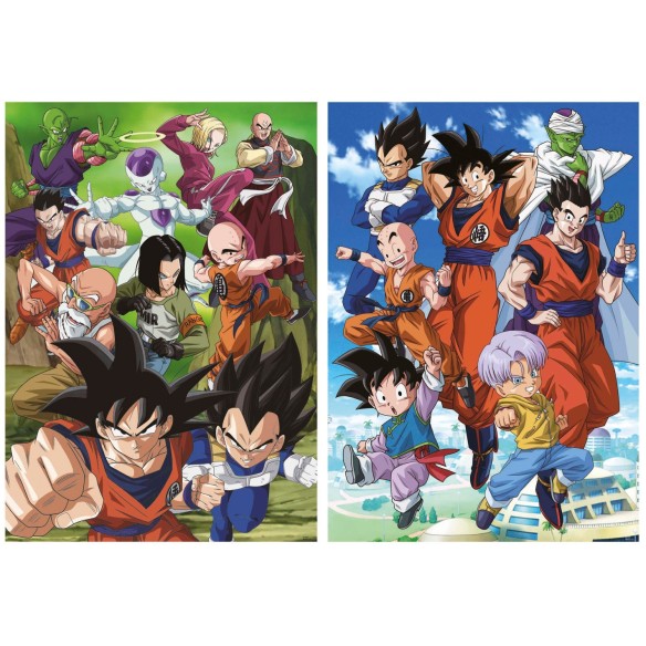    2x500 Dragon Ball