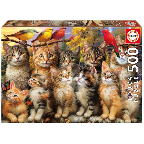500 Chatons et Oiseaux