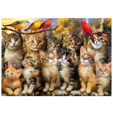 500 Chatons et Oiseaux 2