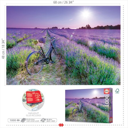 1000 Bicicleta en Campo de Lavanda 2