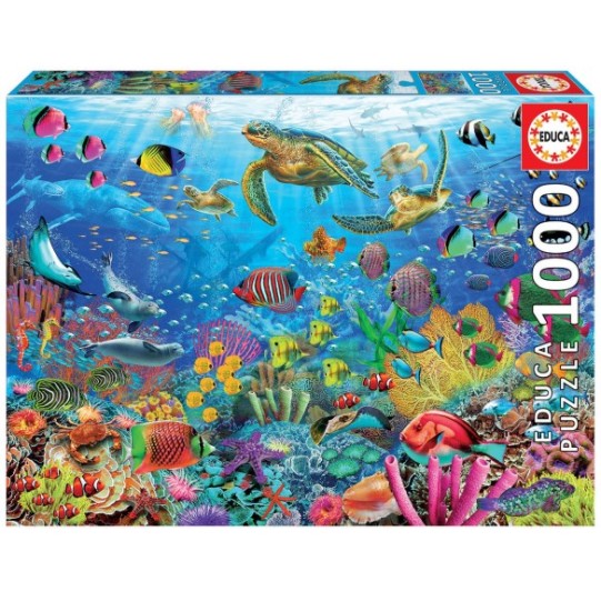 1000 Tortues Au Paradis