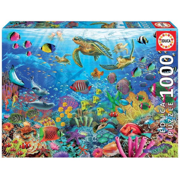 1000 Tortues Au Paradis