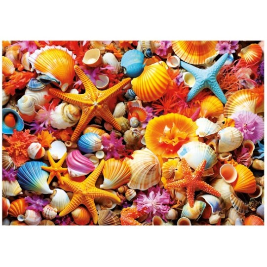 1000 Collage de Coquillages