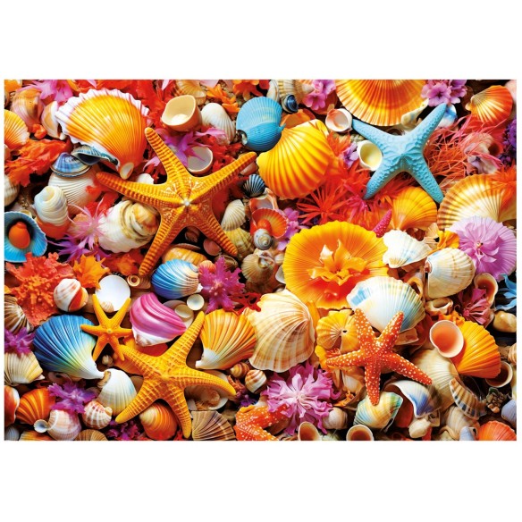 1000 Collage de Coquillages