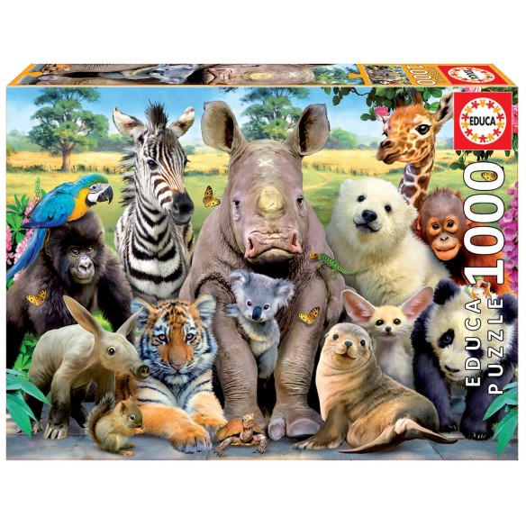 1000 Photo de classe