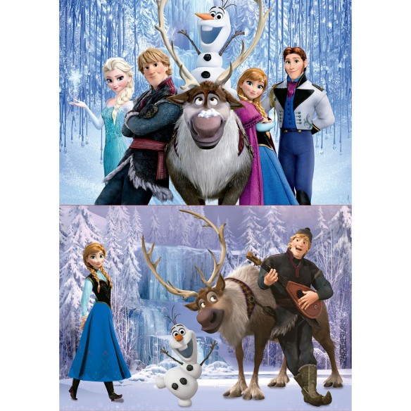   2x100 Frozen