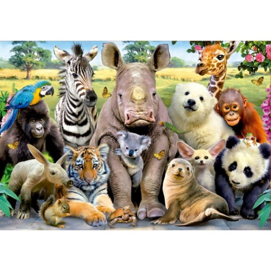 300 Photo de classe