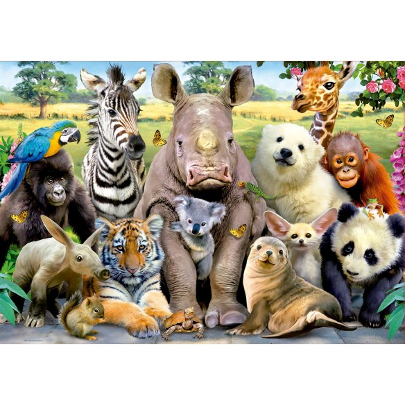 300 Photo de classe