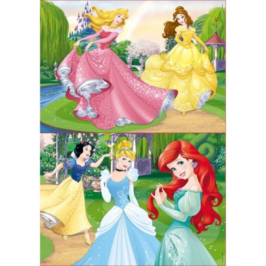   2x20 Disney Princess
