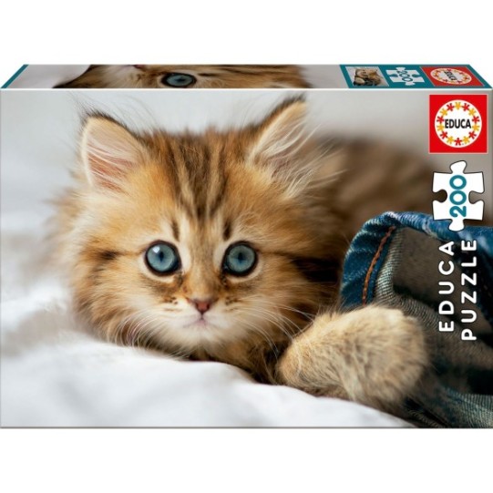 200 chaton
