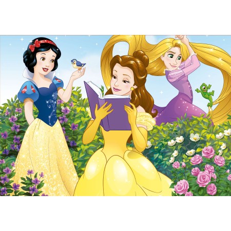 100 Disney Princesses 2