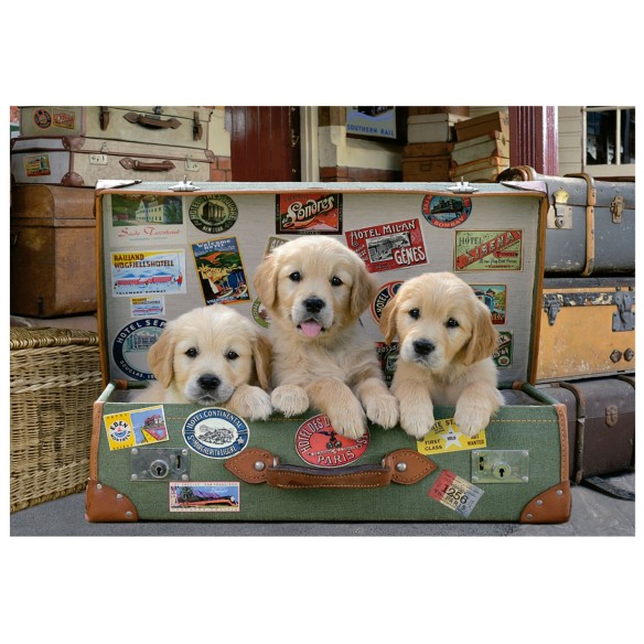 500 Des chiots dans les bagages
