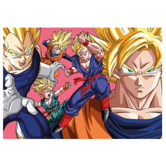   300 Dragon Ball DBZ