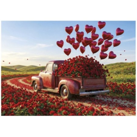 500 PLUS Pickup de la Saint-Valentin 2