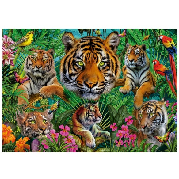 500 Jungle Des Tigres