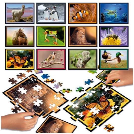 Bataille de puzzle natura