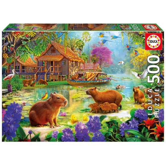 500 Village des Capybaras