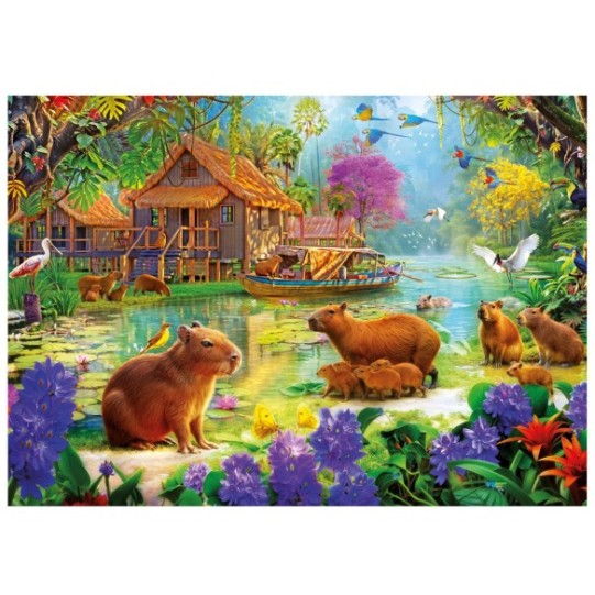 500 Village des Capybaras