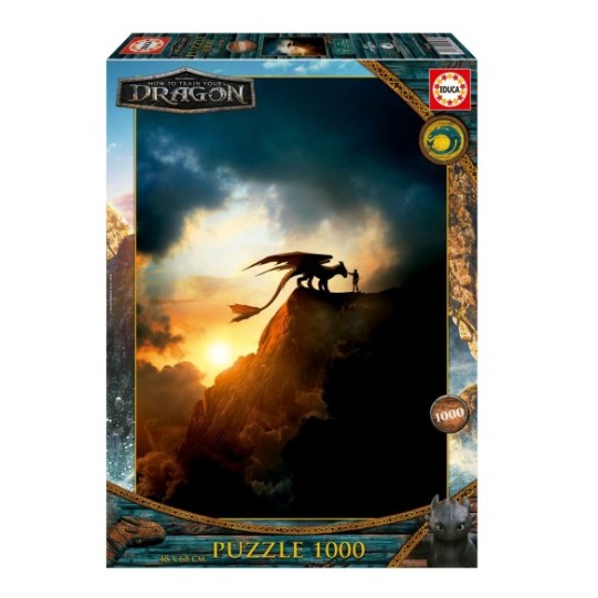 1000 How to train your dragon