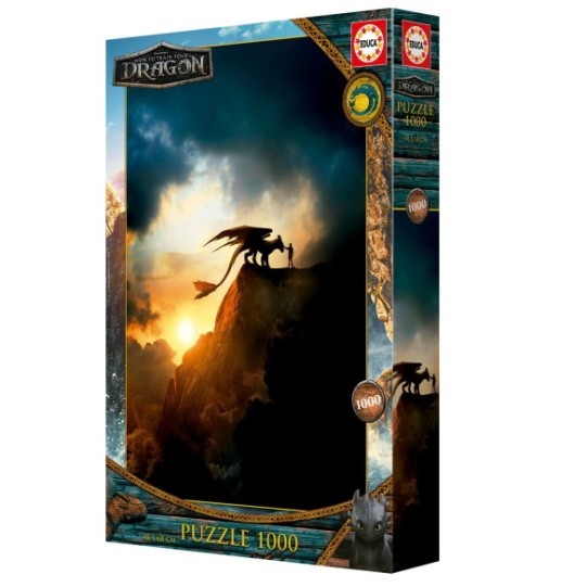 1000 How to train your dragon