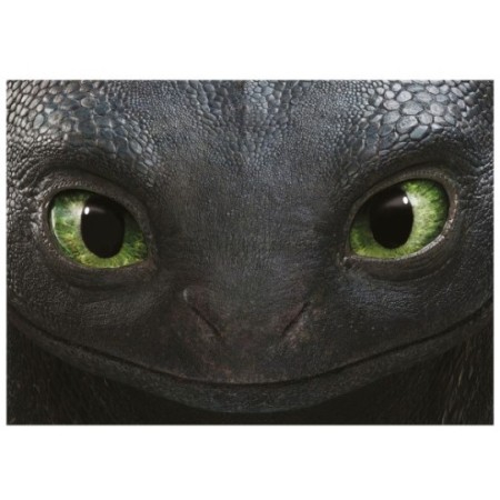 500 How to train your dragon 2